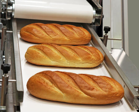 Bread loaves on food processing conveyor belt